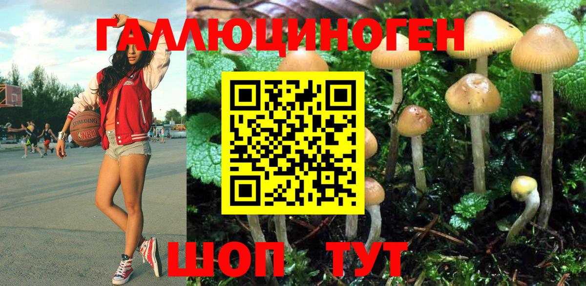 Псилоцибиновые грибы Psilocybine cubensis  Псилоцибиновые грибы GOLDEN TEACHER  Вход с VPN  закладки  Вязьма 